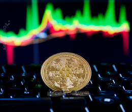 CoinsCapture - Cryptocurrency Trading Prices Today, Live Chart , Market Trades & Cap