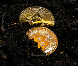 CoinsCapture - Cryptocurrency Trading Prices Today, Live Chart , Market Trades & Cap