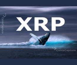CoinsCapture - Cryptocurrency Trading Prices Today, Live Chart , Market Trades & Cap
