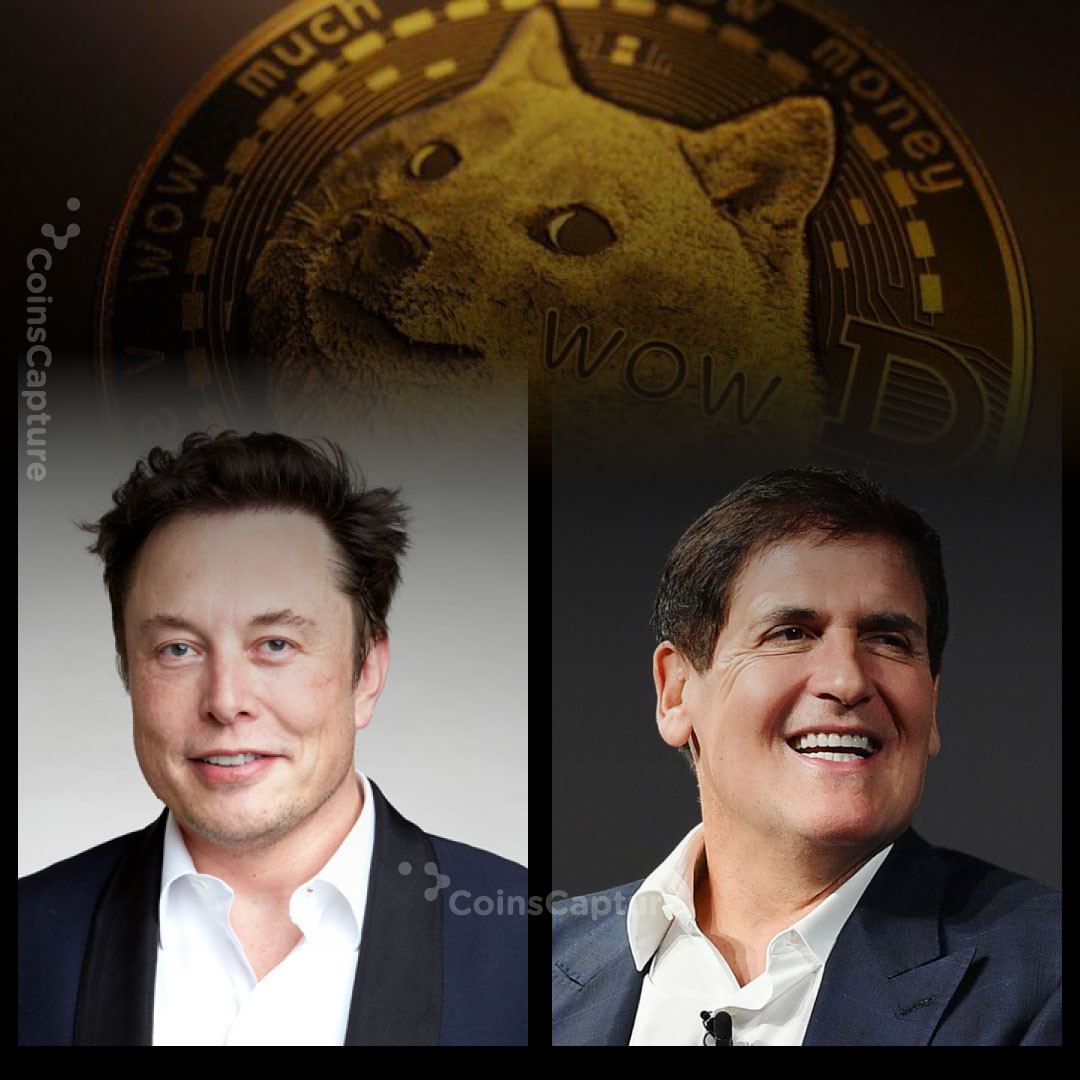 CoinsCapture - Cryptocurrency Trading Prices Today, Live Chart , Market Trades & Cap