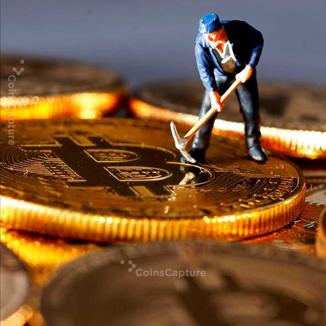 CoinsCapture - Cryptocurrency Trading Prices Today, Live Chart , Market Trades & Cap