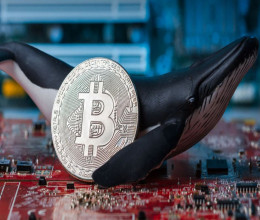 CoinsCapture - Cryptocurrency Trading Prices Today, Live Chart , Market Trades & Cap