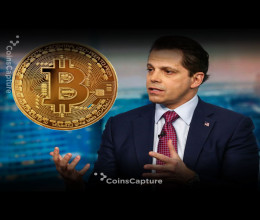 CoinsCapture - Cryptocurrency Trading Prices Today, Live Chart , Market Trades & Cap