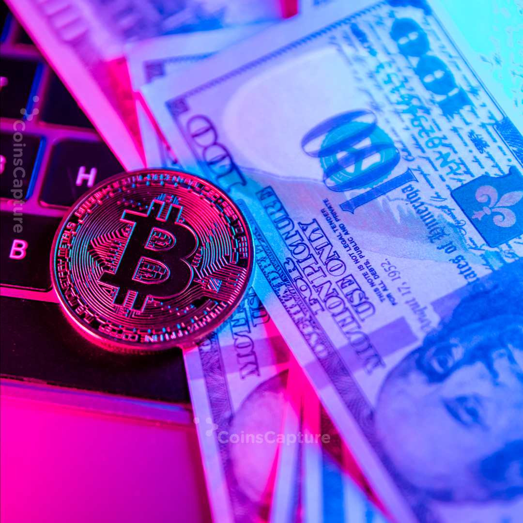 CoinsCapture - Cryptocurrency Trading Prices Today, Live Chart , Market Trades & Cap