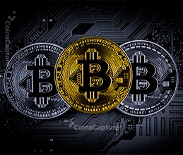 CoinsCapture - Cryptocurrency Trading Prices Today, Live Chart , Market Trades & Cap